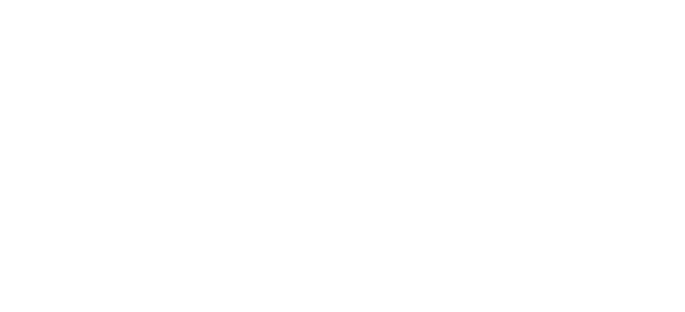 Selvixy